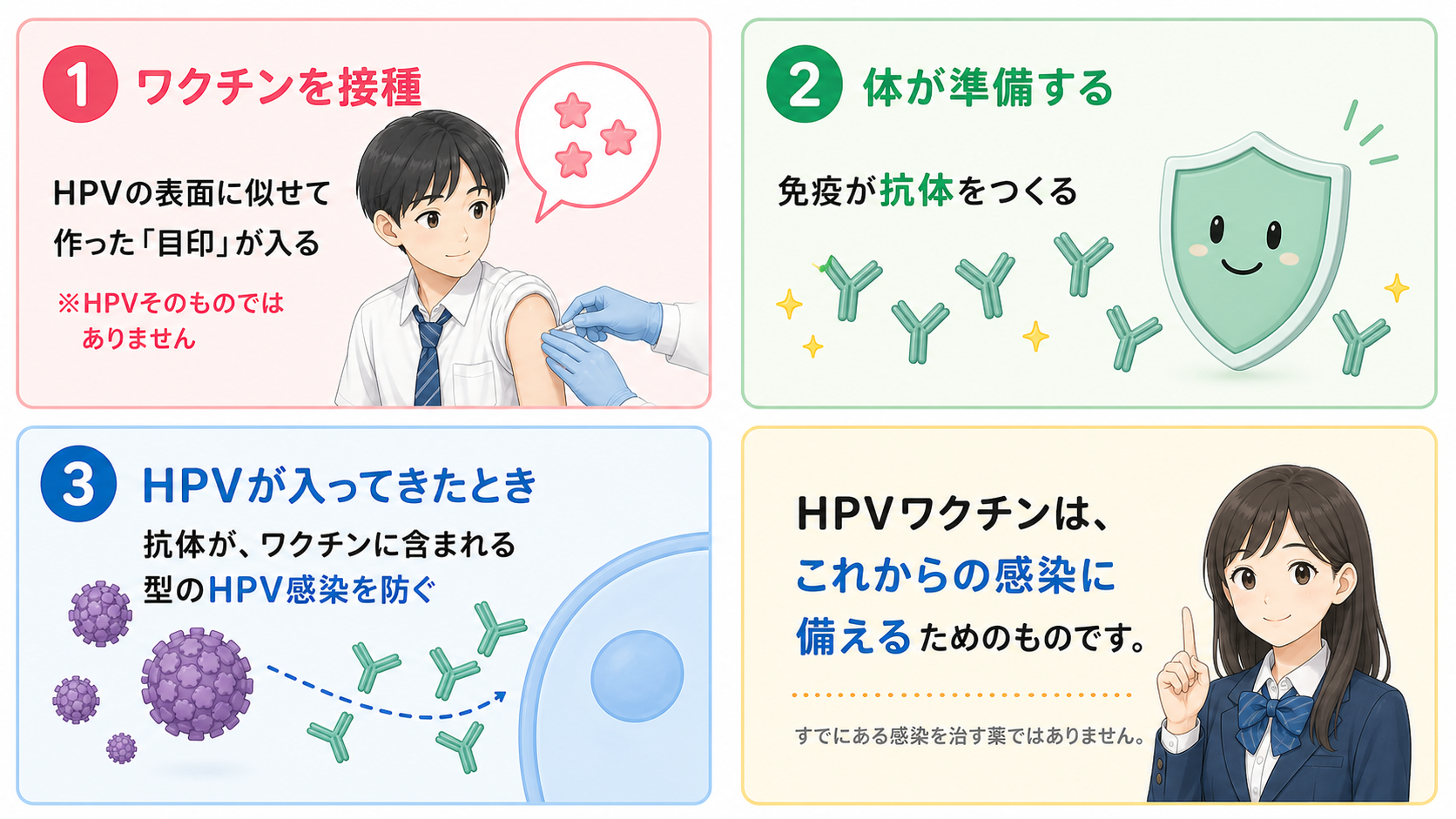 ワクチンを接種するとHPVの表面に似せて作った目印が入る。HPVそのものではない